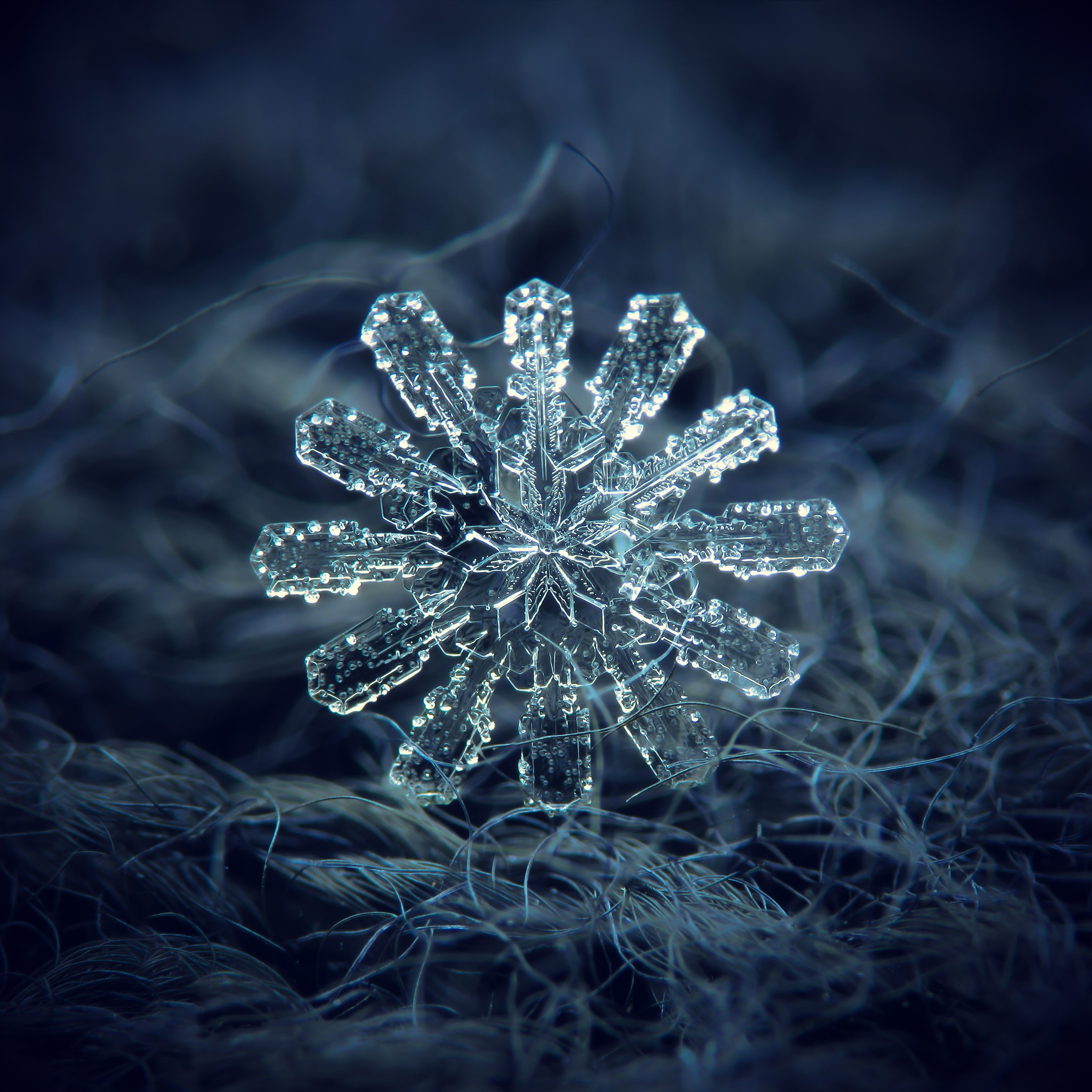 A snowflake is sitting on some grass.